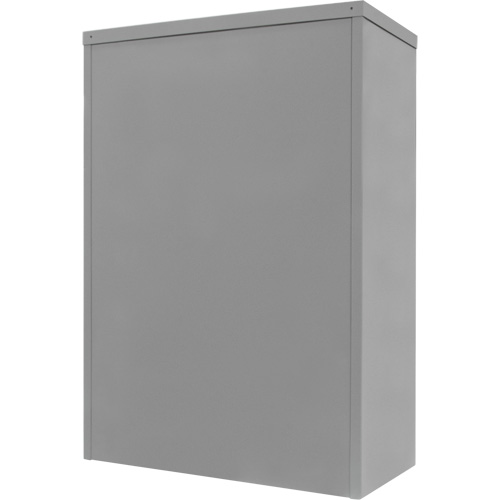 Counter-High Storage Cabinet, Steel, 2 Shelves, 42" H x 30" W x 15" D, Grey Helyx Safety & Industrial Supplies