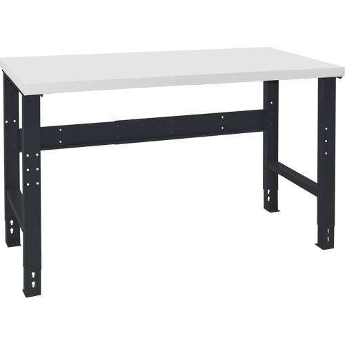 Industrial Modular Workbench, 48" W x 24" D x 1000 lbs. Capacity Helyx Safety & Industrial Supplies