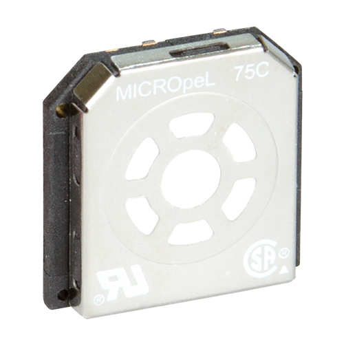 BW Replacement Sensors Helyx Safety & Industrial Supplies
