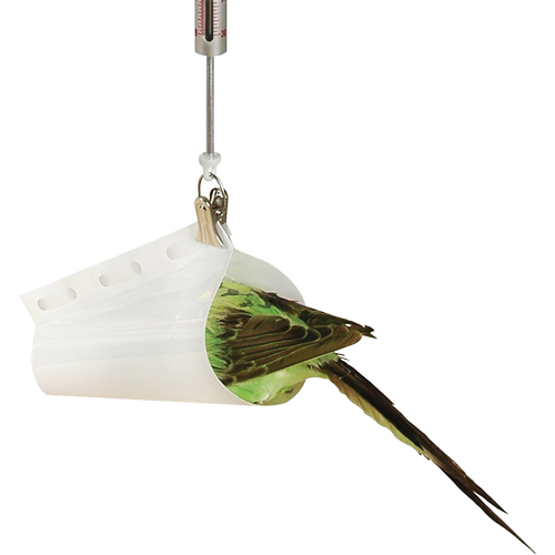 Accessoire pour balance &agrave; ressort Micro - entonnoir &agrave; peser les oiseaux  Helyx Safety & Industrial Supplies