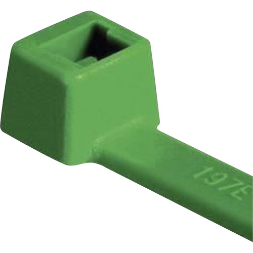 Attaches pour c&acirc;ble PA66 homologu&eacute;es UL, Longueur 4", R&eacute;sistance &agrave; la traction 18 lb, Vert Helyx Safety & Industrial Supplies