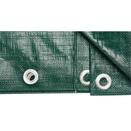 B&acirc;che, Robuste, Vert, 10' x 8' x 9 mils Helyx Safety & Industrial Supplies