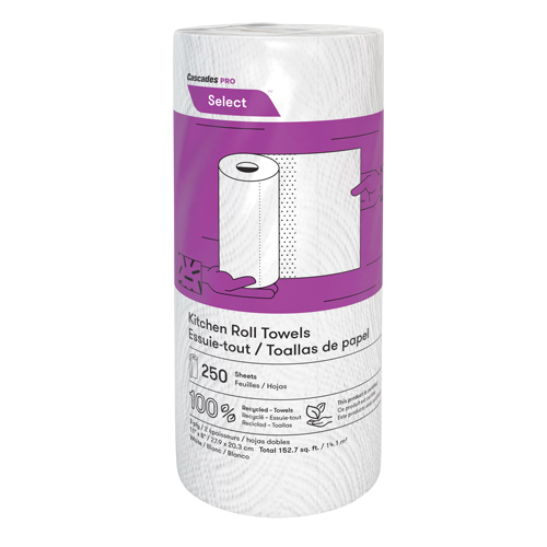 Pro Select Kitchen Towel Roll, 2 Ply, 250 Sheets/Roll, 8" W, 11" L Helyx Safety & Industrial Supplies