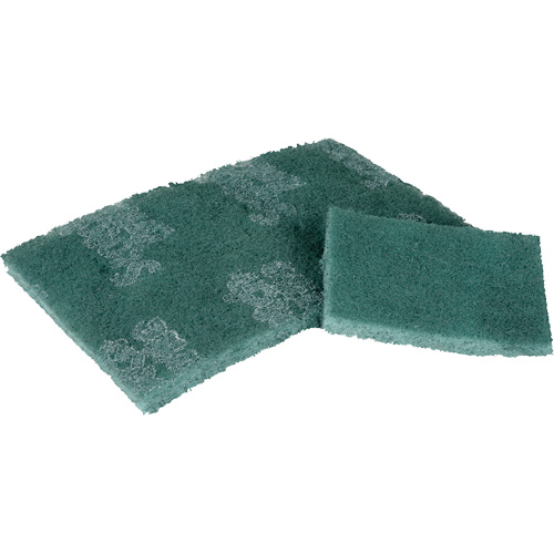 Scrubber Pad, 3" L x 4-1/2" W Helyx Safety & Industrial Supplies