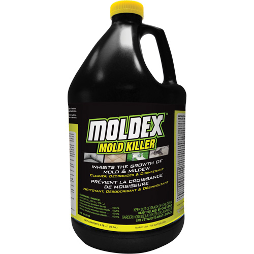 D&eacute;sinfectant contre les moisissures Moldex, 3,78 L, Cruche Helyx Safety & Industrial Supplies