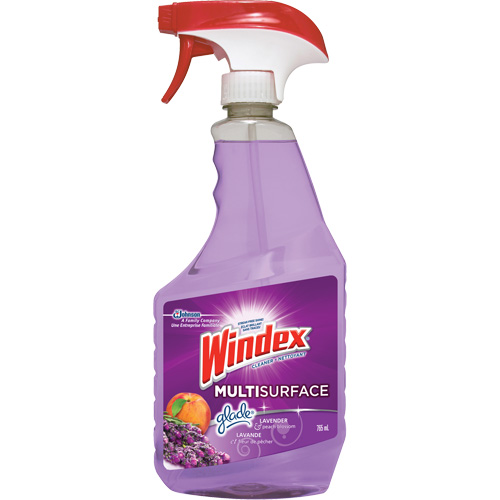 Windex&reg; Multi-Surface Cleaner, 765 ml, Trigger Bottle Helyx Safety & Industrial Supplies