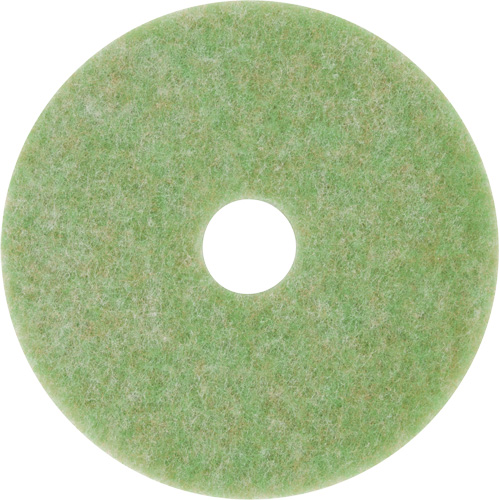 Tampon de m&eacute;lange naturel, 12", &agrave; r&eacute;curer, Vert Helyx Safety & Industrial Supplies