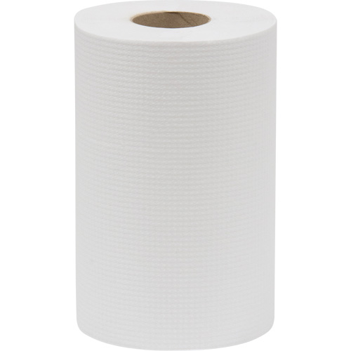 Rouleau d'essuie-tout Everest Pro, 1 pli, Standard, 300' lo Helyx Safety & Industrial Supplies