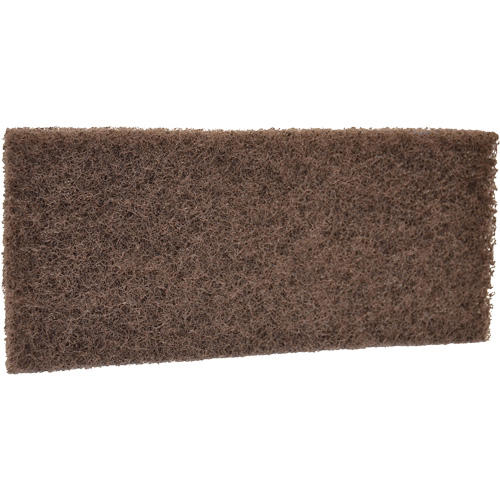 Coarse Scrub Pad, 10" L x 4-1/2" W Helyx Safety & Industrial Supplies