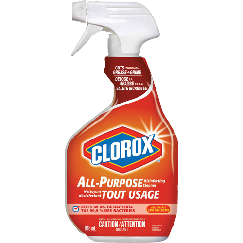 All-Purpose Disinfecting Cleaner Spray, 946 ml, Trigger Bottle Helyx Safety & Industrial Supplies