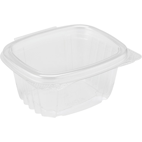 Hinged Lid Deli Container, Plastic Helyx Safety & Industrial Supplies