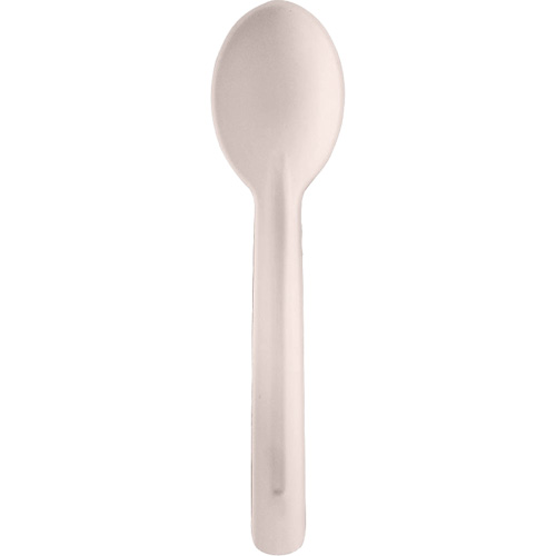 Bagasse Compostable Spoons Helyx Safety & Industrial Supplies