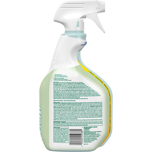 Nettoyant d&eacute;sinfectant CloroxPro Clorox EcoClean, 946 ml, Bouteille &agrave; g&acirc;chette Helyx Safety & Industrial Supplies