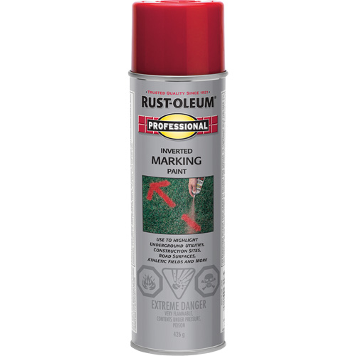 Inverted Marking Paint Spray, Aerosol Can Helyx Safety & Industrial Supplies