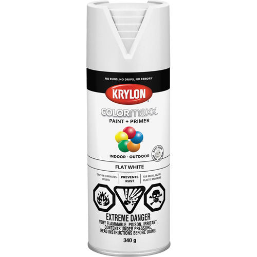 COLORmaxx Paint + Primer, White, Very Flat, 12 oz., Aerosol Can Helyx Safety & Industrial Supplies