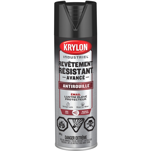 Tough Coat&reg; Advanced Paint with Rust Barrier Technology, Black, High-Gloss, 425 g, Aerosol Can Helyx Safety & Industrial Supplies