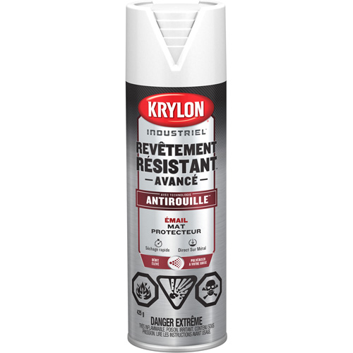 Tough Coat&reg; Advanced Paint with Rust Barrier Technology, White, Flat, 425 g, Aerosol Can Helyx Safety & Industrial Supplies