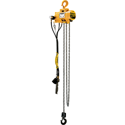 Palans pneumatiques &agrave; chaîne Budgit Helyx Safety & Industrial Supplies
