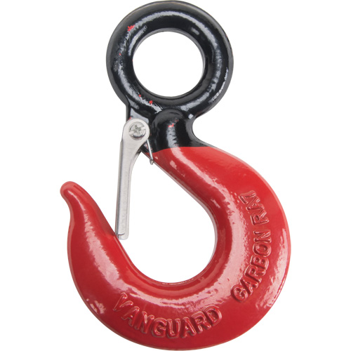 Black Eye&reg; Wire Rope Hoist Hook Helyx Safety & Industrial Supplies