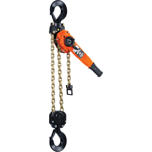 Palan &agrave; levier de s&eacute;rie 653-A, Lev&eacute;e 5', Cabacit&eacute; 12 000 lb (6 tonnes), Chaîne en Acier Helyx Safety & Industrial Supplies