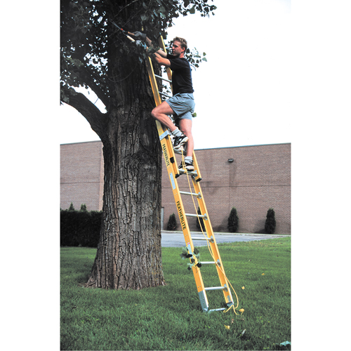 Industrial Heavy-Duty Extension Ladders (6200 Series), 375 lbs. Cap., 13' H, Grade 1AA Helyx Safety & Industrial Supplies
