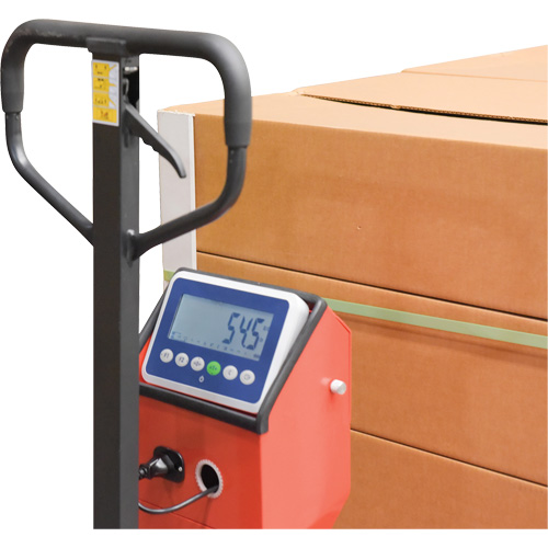 Pallet Truck, 48" L x 27.5" W, 5000 lbs. Cap. Helyx Safety & Industrial Supplies
