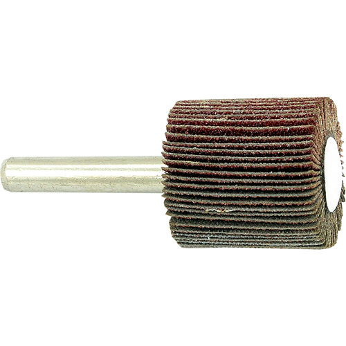 Disque &agrave; lamelles mont&eacute; sur mandrin, Grain 80, 1" x 1" x 1/4" Helyx Safety & Industrial Supplies