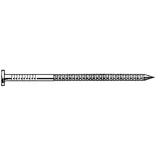 Clous en acier inoxydable naturel Helyx Safety & Industrial Supplies