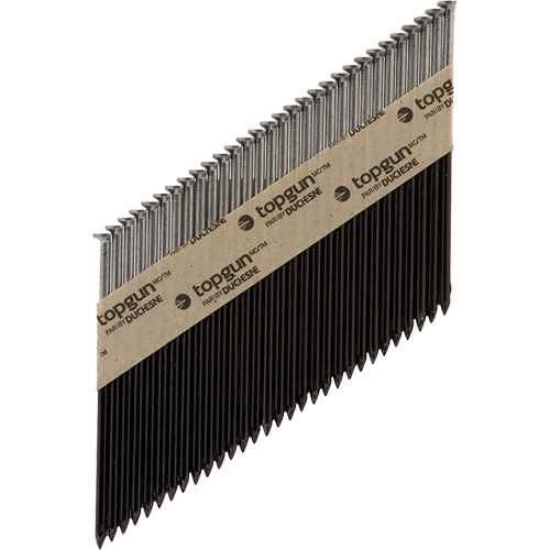 Collated Nails Helyx Safety & Industrial Supplies