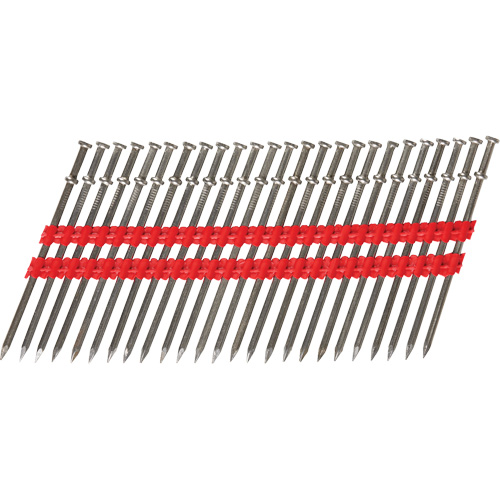 16D Collated Duplex Nails Helyx Safety & Industrial Supplies