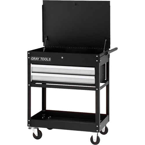 Utility Cart, 2 Drawers, 30-1/4" L x 19" W x 35-3/4" H, Black Helyx Safety & Industrial Supplies