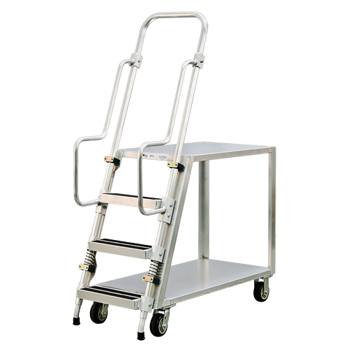 Chariot de pr&eacute;paration en aluminium avec &eacute;chelle, Aluminium, 22" la x 51-1/2" p, 2 tablettes, Capacit&eacute; 800 lb Helyx Safety & Industrial Supplies