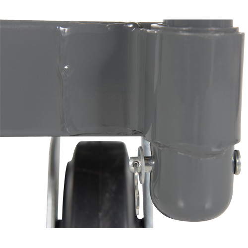 Platform Truck, 48" L x 24" W, 2000 lbs. Capacity, Rubber Casters Helyx Safety & Industrial Supplies