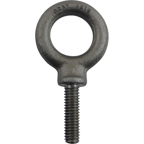 Alloy Steel Eye Bolt, 1" Dia., 1-1/4" L, 1480 lbs. (0.74 tons)/1480 lbs. Capacity Helyx Safety & Industrial Supplies