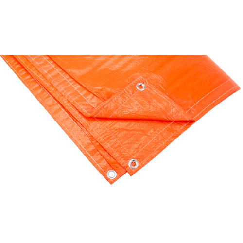 B&acirc;ches isol&eacute;es, Poly&eacute;thyl&egrave;ne, Orange, 20' x 12' x 8 mils Helyx Safety & Industrial Supplies