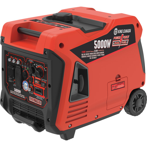 Dual Fuel Gasoline/Propane Inverter Generator Helyx Safety & Industrial Supplies