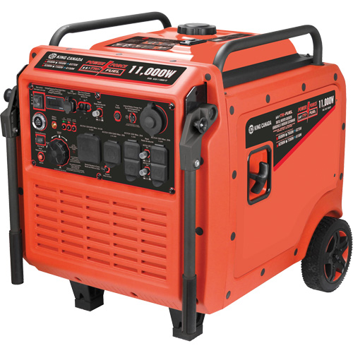 Tri-Fuel Inverter Generator Helyx Safety & Industrial Supplies
