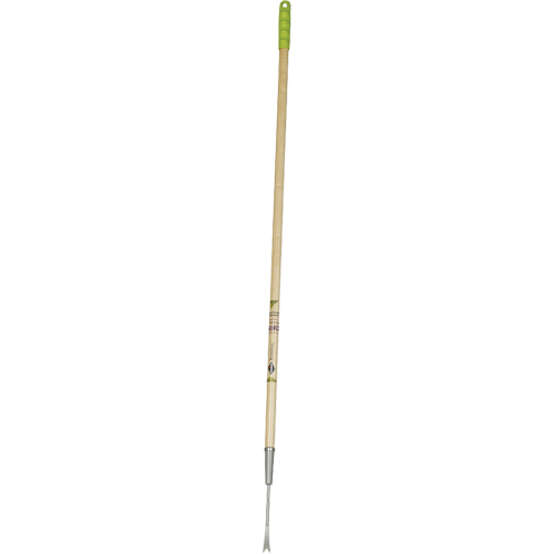 Dandelion Weeder Helyx Safety & Industrial Supplies