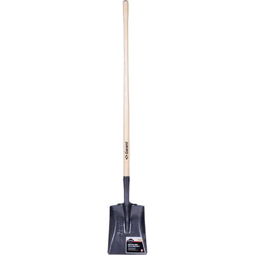 Pro Square Point Shovel, Wood, Tempered Steel Blade, Straight Handle, 48" Long Helyx Safety & Industrial Supplies