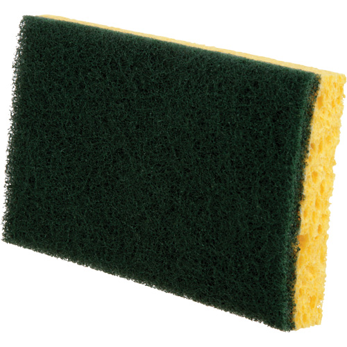 Utility Sponges, Cellulose, 6" W x 3-1/2" L Helyx Safety & Industrial Supplies
