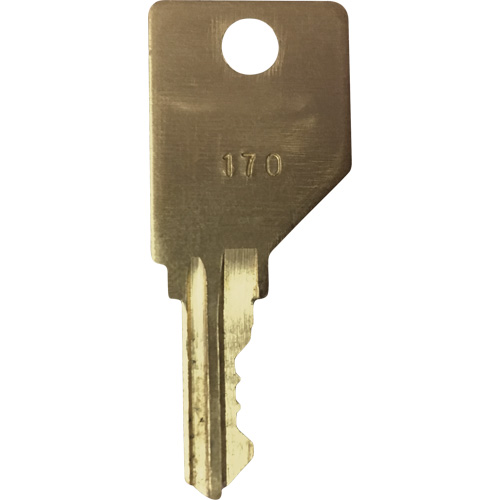 Cl&eacute; de rechange pour cendrier Frost Helyx Safety & Industrial Supplies