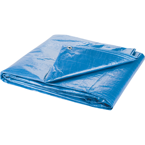 B&acirc;che, Standard, Bleu, 7' x 5' x 4 mils Helyx Safety & Industrial Supplies
