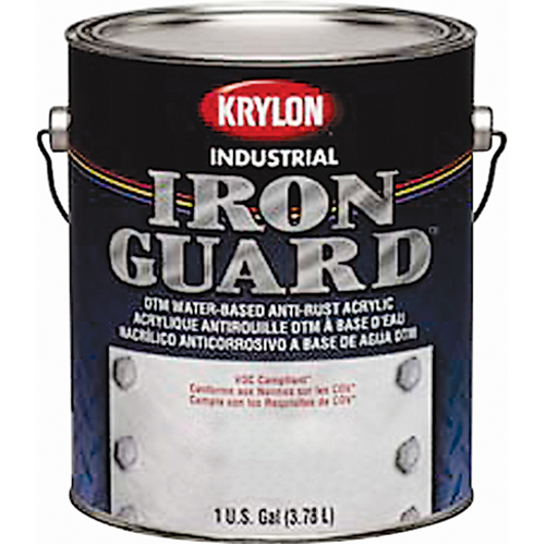 &eacute;mail industriel &agrave; base d'eau Iron Guard, Canette, Gris Helyx Safety & Industrial Supplies