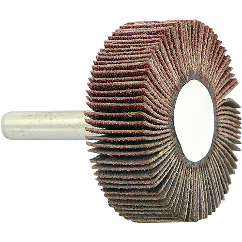 Disque &agrave; lamelles mont&eacute; sur mandrin, Grain 80, 1-1/2" x 1/2" x 1/4" Helyx Safety & Industrial Supplies