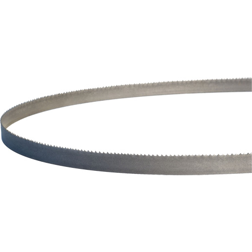 Master-Band&reg; Portable Band Saw Blades, Bi-Metal, 18 TPI, 44-7/8" L x 1/2" W Helyx Safety & Industrial Supplies