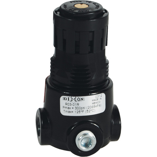 Wilkerson Miniature Regulator R03, 1/4" NPT, 300 psi Max. PSI, Standard Helyx Safety & Industrial Supplies
