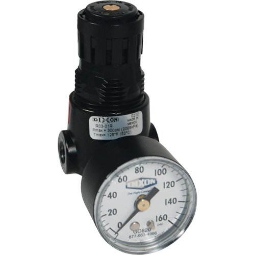 Wilkerson Miniature Regulator R04, 1/4" NPT, 300 psi Max. PSI, Standard Helyx Safety & Industrial Supplies