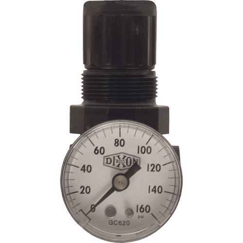 Series 1 Miniature Regulator, 1/8" NPT, 100 psi Max. PSI, Standard Helyx Safety & Industrial Supplies