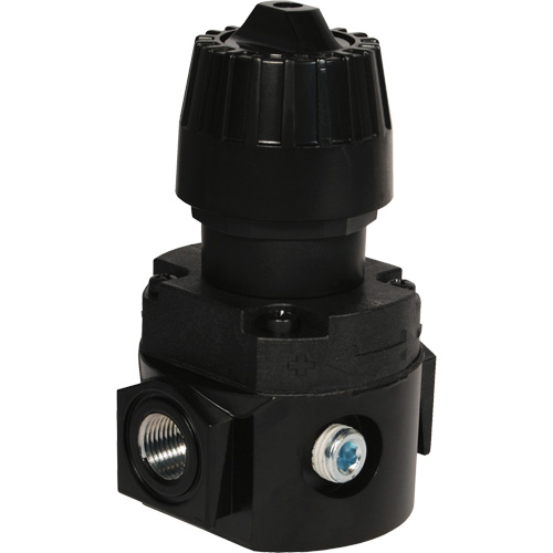 Wilkerson Compact Regulator R16, 1/4" NPT, 300 psi Max. PSI, Standard Helyx Safety & Industrial Supplies