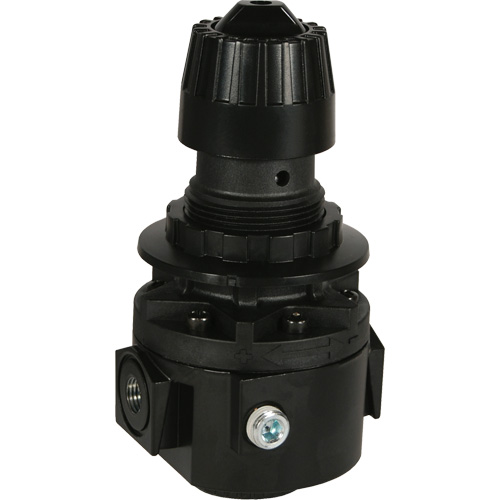 Wilkerson Regulator R26, 1/2" NPT, 300 psi Max. PSI, Standard Helyx Safety & Industrial Supplies